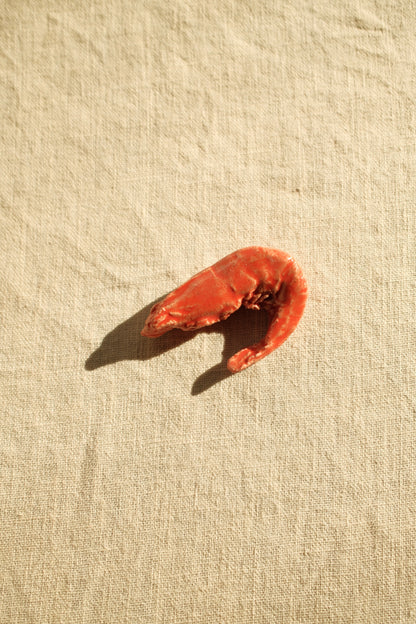 Handcrafted ceramic matchbox with shrimp motif made in France