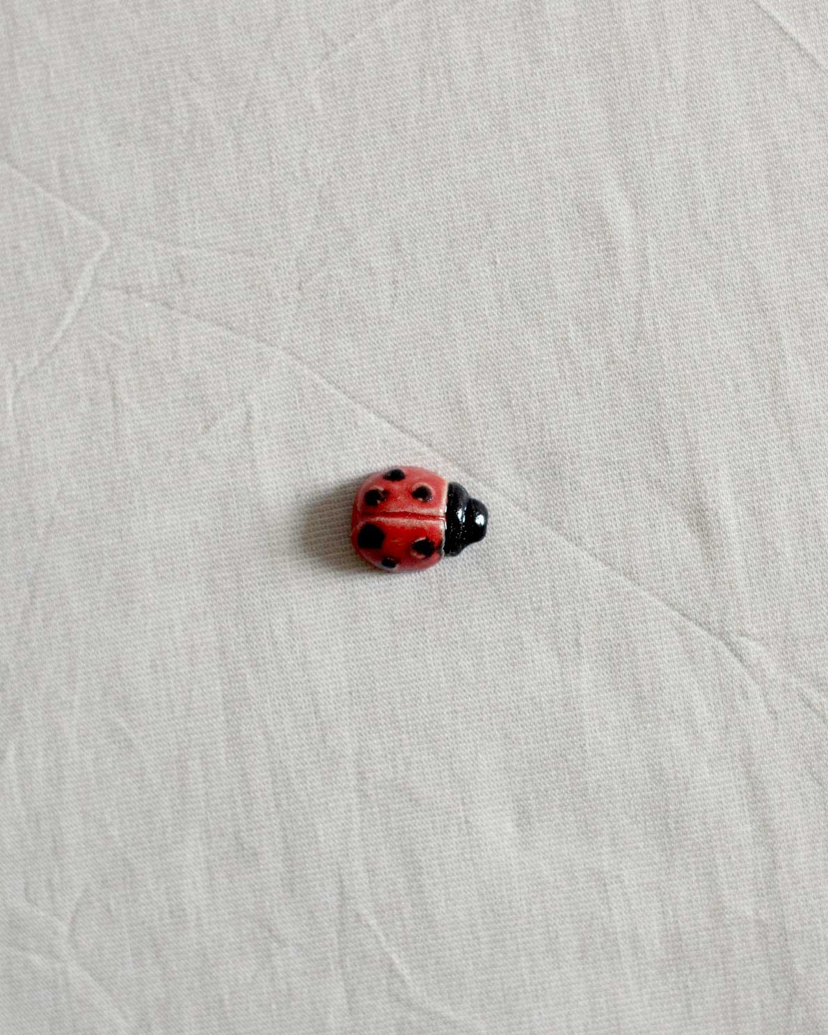 Ceramic Ladybug